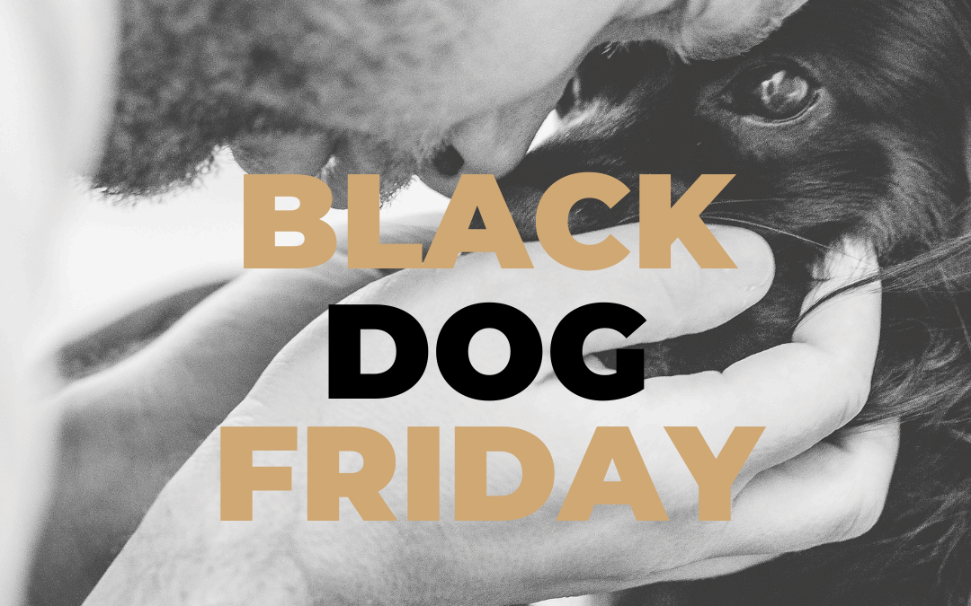 Black Friday akció: Hozz kutyakaját!